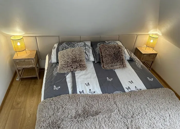 Comfort Zone Ostroda Boho Scandi