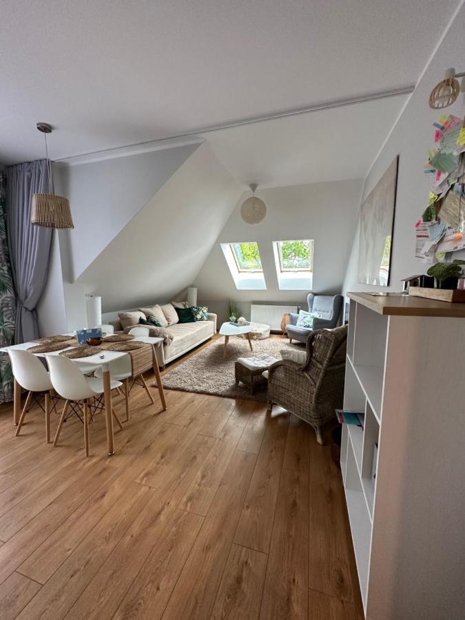 Comfort Zone Boho Scandi