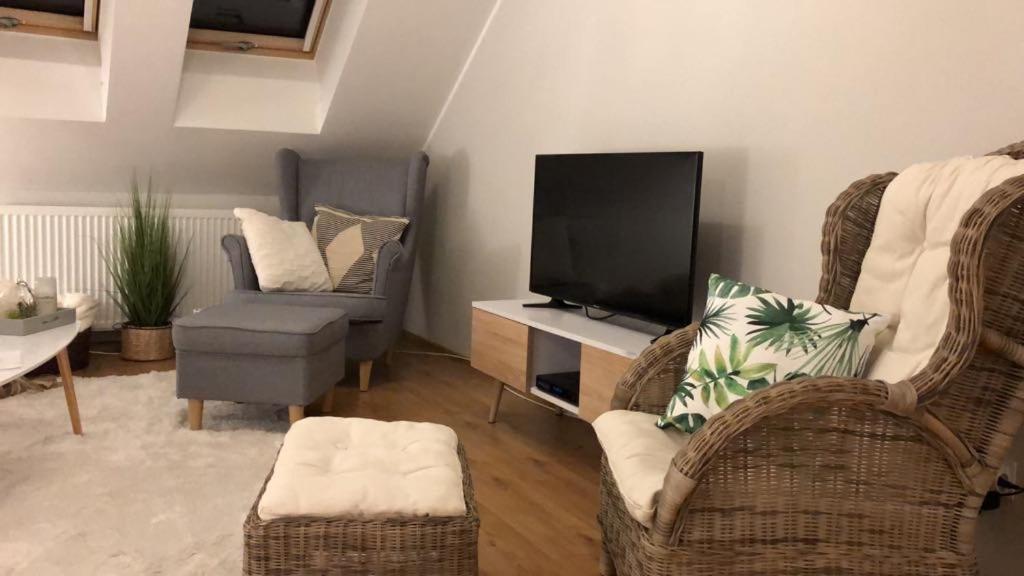 Apartment Comfort Zone Boho Scandi