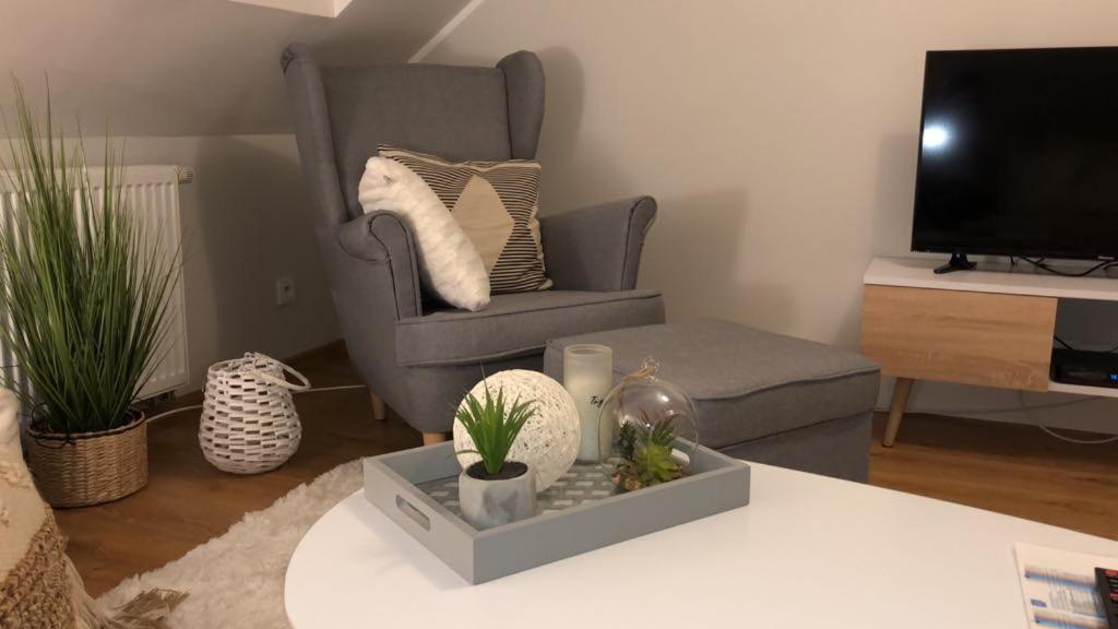 Apartment Comfort Zone Boho Scandi